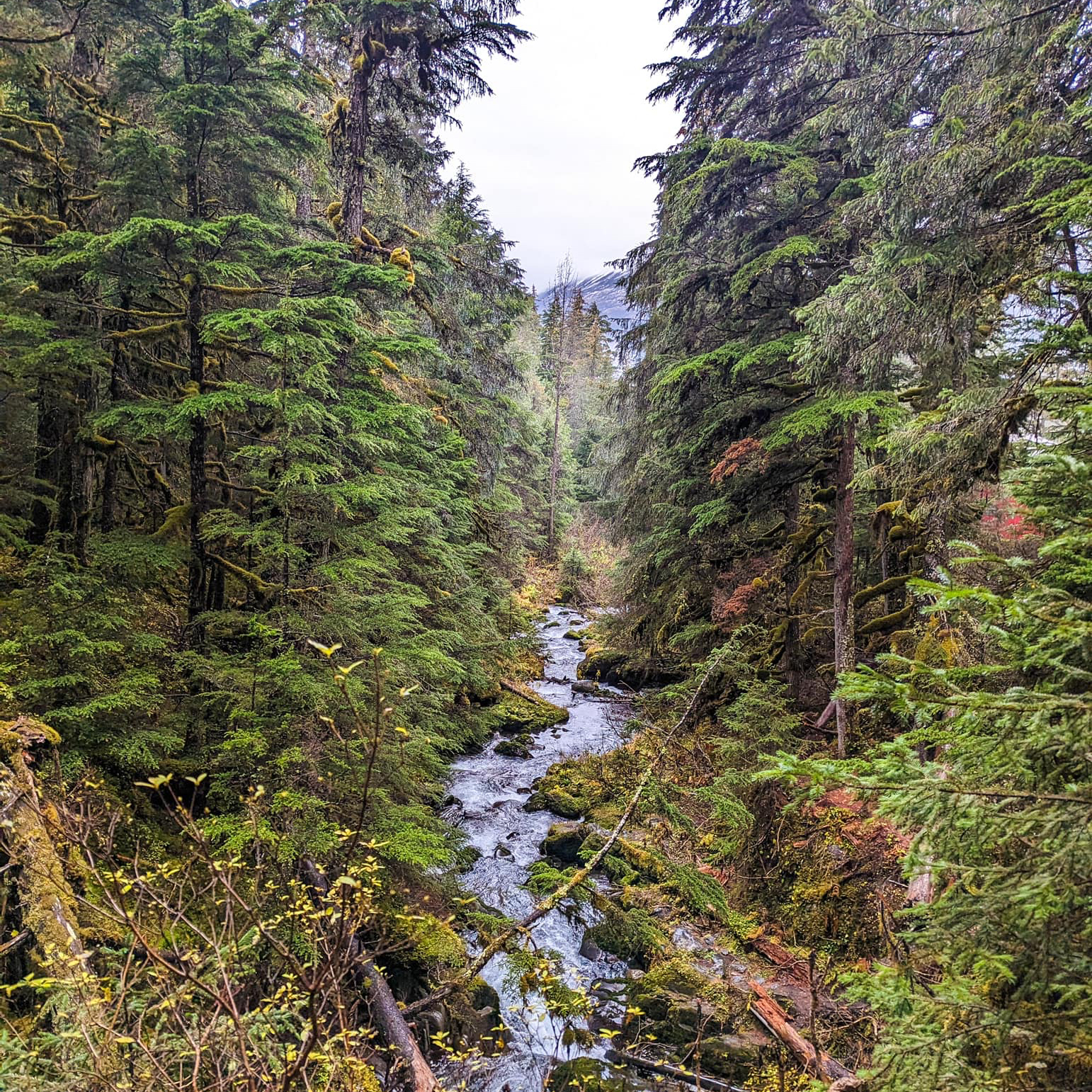 491400558_9721846714536465_908845610738608074_n