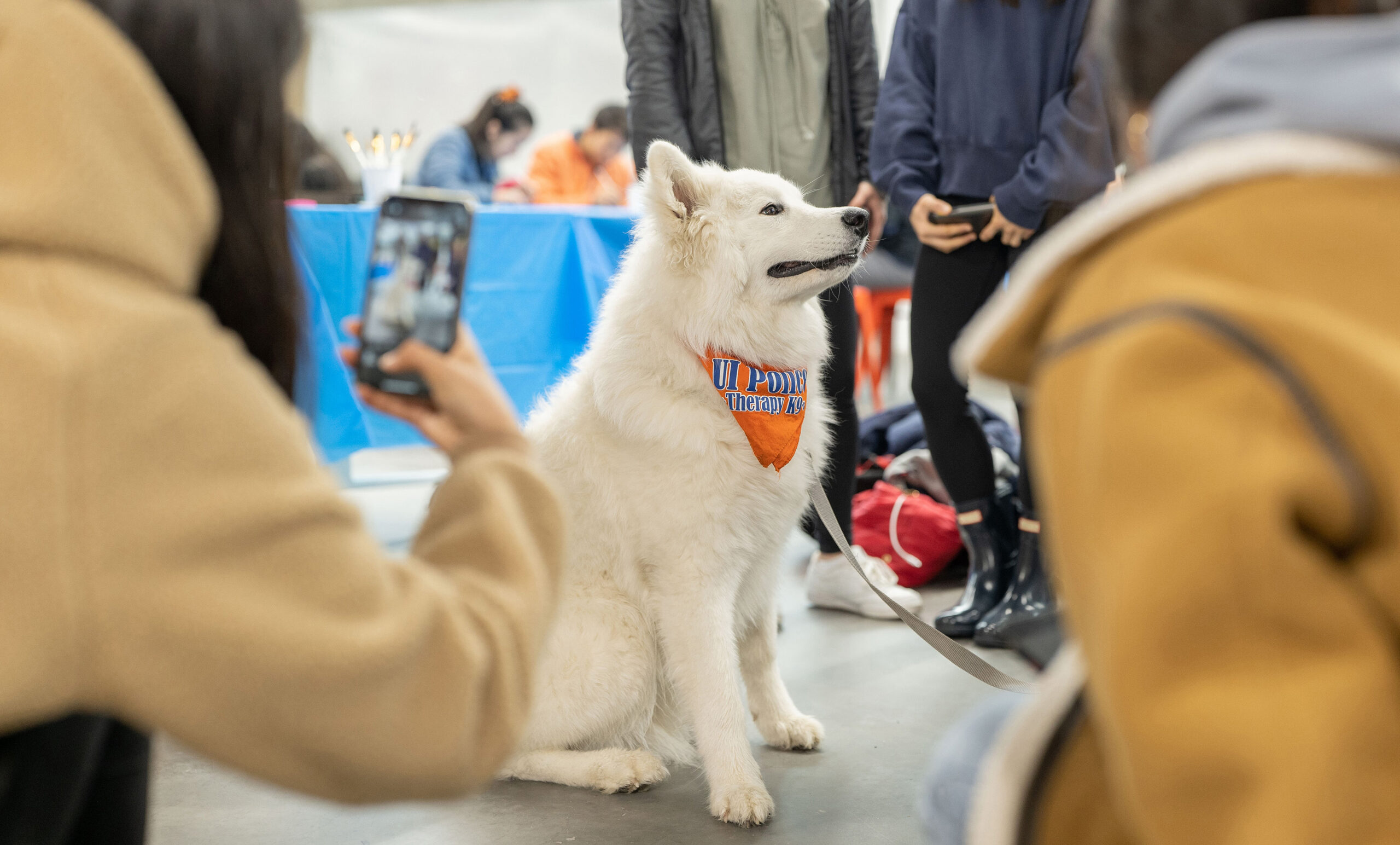 Copy of P1024166 copy